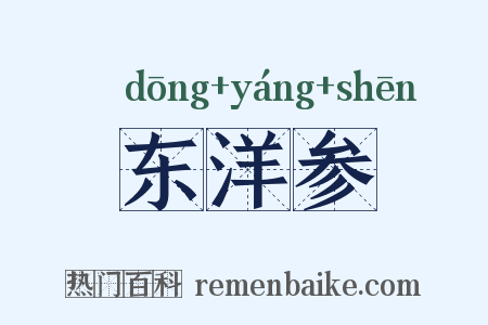 东洋参是什么意思的图片